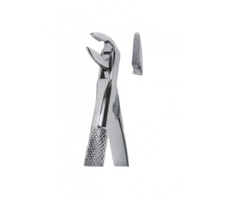 Extracting Forceps